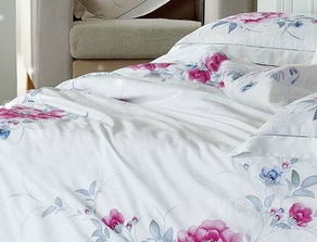 卡西諾家紡產品 產品圖片 加盟店怎么樣